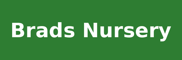 Brads Nursery